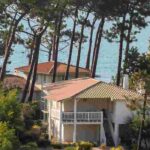 Acondicionar un jardín bajo los pinos: todos nuestros consejos