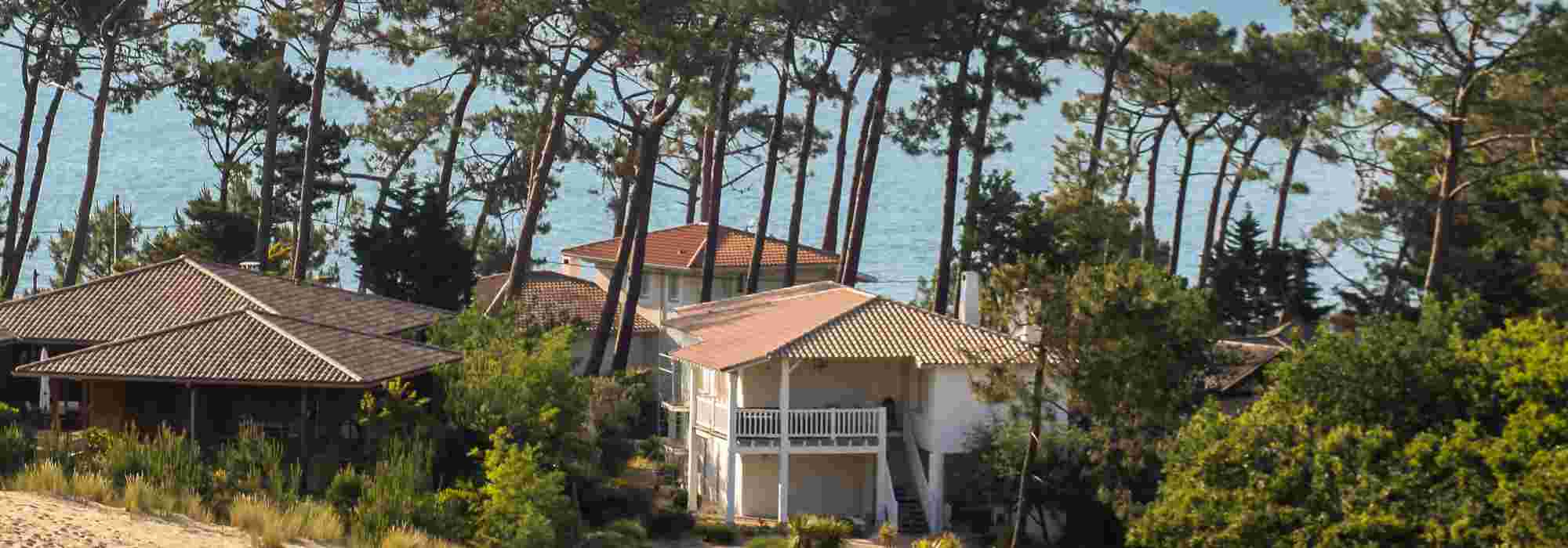 Acondicionar un jardín bajo los pinos: todos nuestros consejos