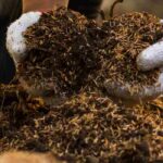 ¿Cómo saber si mi compost está maduro?