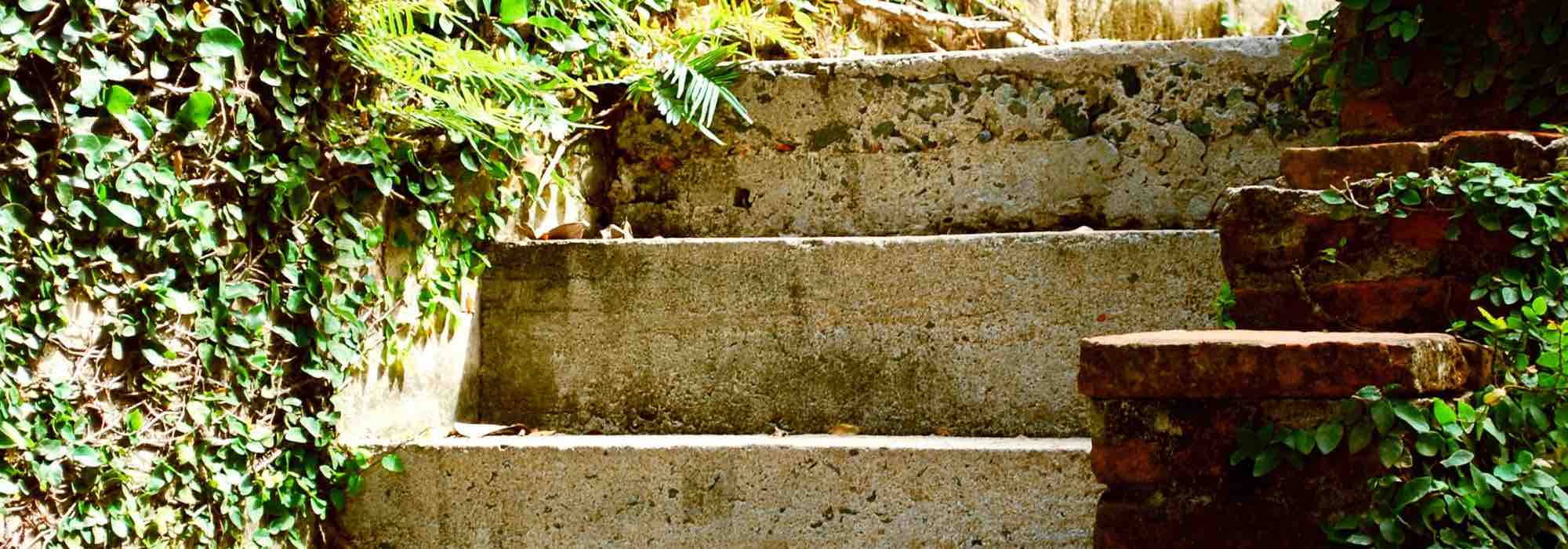 Acondicionar una escalera de jardín: nuestros consejos para embellecer tu exterior