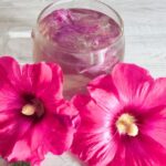 ¿Cómo preparar una infusión de malvarrosa?