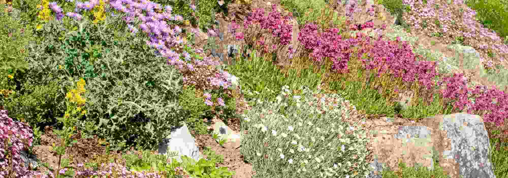 ¿Qué mejoras hacer para realzar un terreno en pendiente?