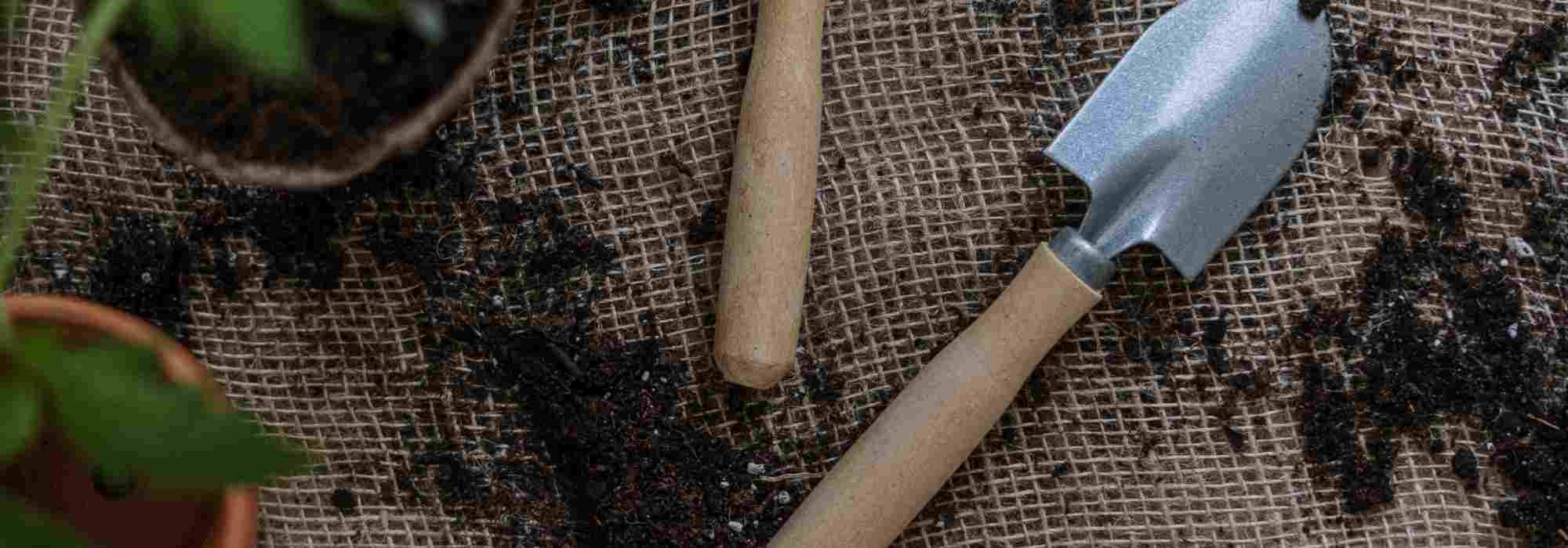 Los utensilios imprescindibles para la plantación en el jardín