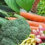 Huerto en la región Centro: ¿qué verduras cultivar?