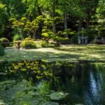 De la importancia de visitar jardines