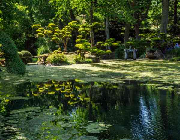 De la importancia de visitar jardines