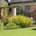 Color suave y de moda: cómo diseñar un jardín “nude”