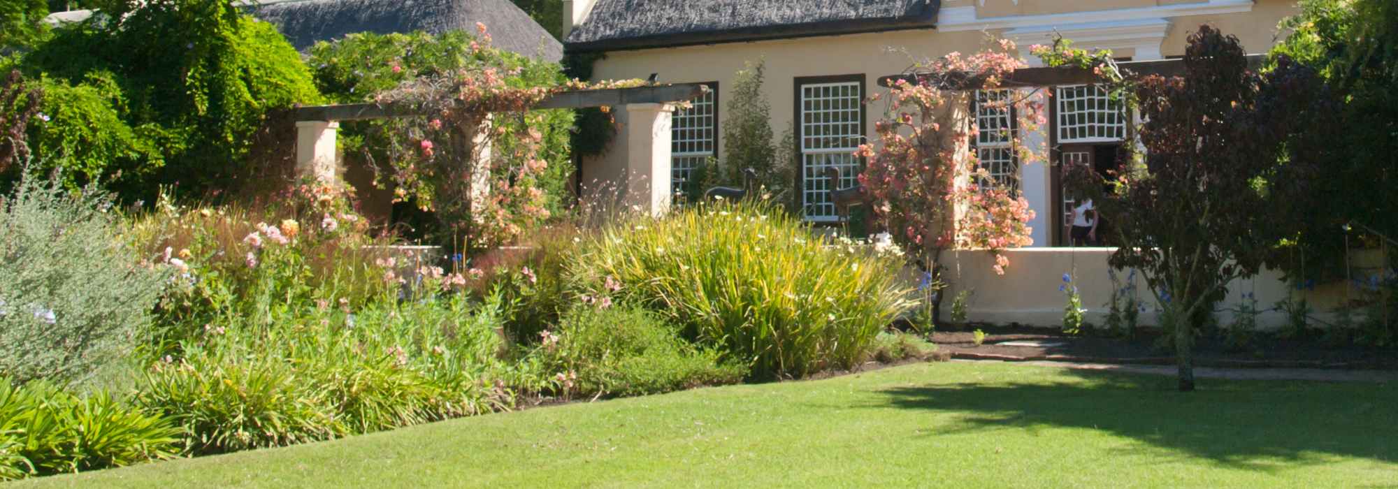 Color suave y de moda: cómo diseñar un jardín “nude”