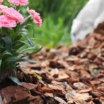 ¿Cómo usar los recortes de madera como acolchado?