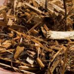 Acolchado: ¿cómo proteger las plantaciones jóvenes en el jardín?