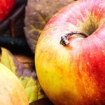 Manzanos: ¿por qué elegir variedades antiguas y locales?