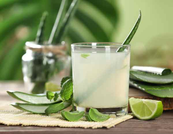 Belleza, cocina: cómo cosechar y utilizar el aloe vera?