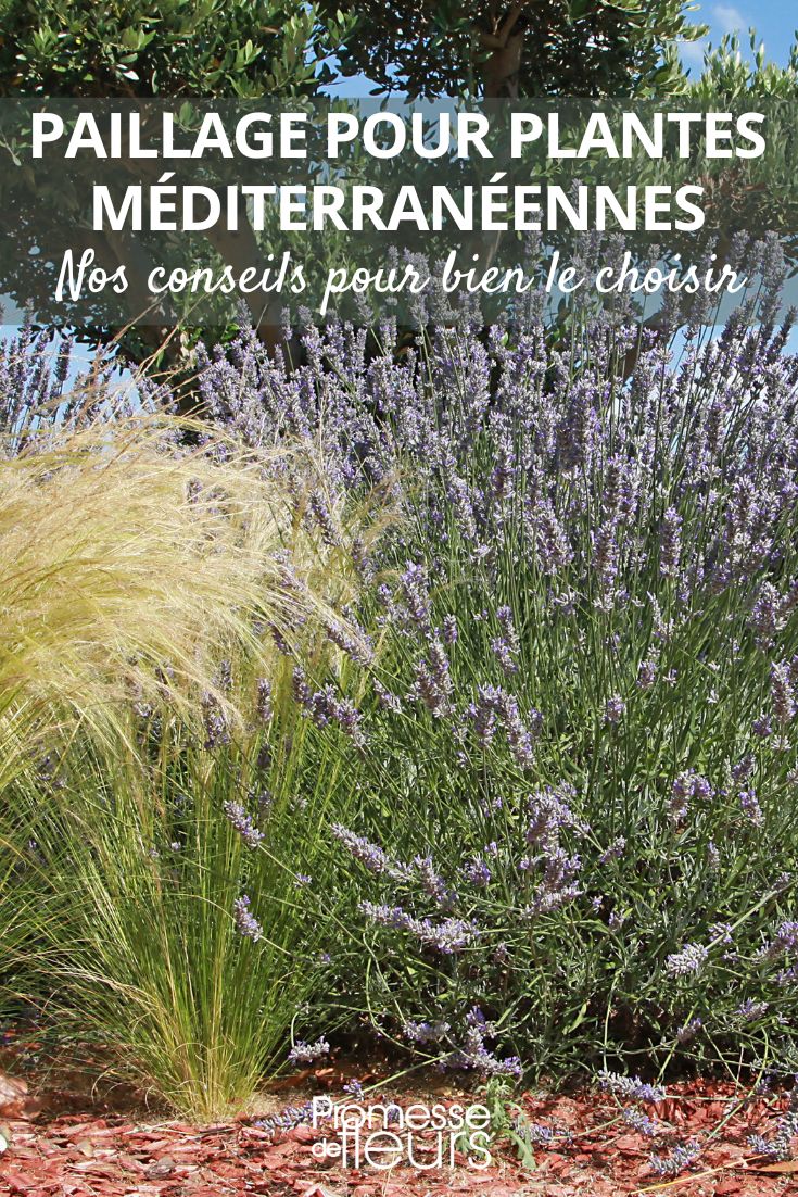 los diferentes acolchados para el sur