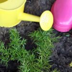 ¡Inicie a sus hijos en la Jardinería con herramientas adecuadas y divertidas!