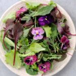 Flores comestibles: ¡los pensamientos se invitan a la cocina!