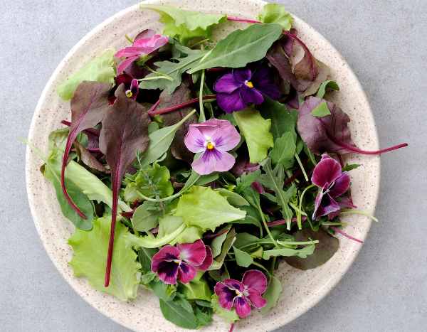 Flores comestibles: ¡los pensamientos se invitan a la cocina!