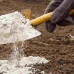 ¿Usar cal en el jardín: buena o mala idea?
