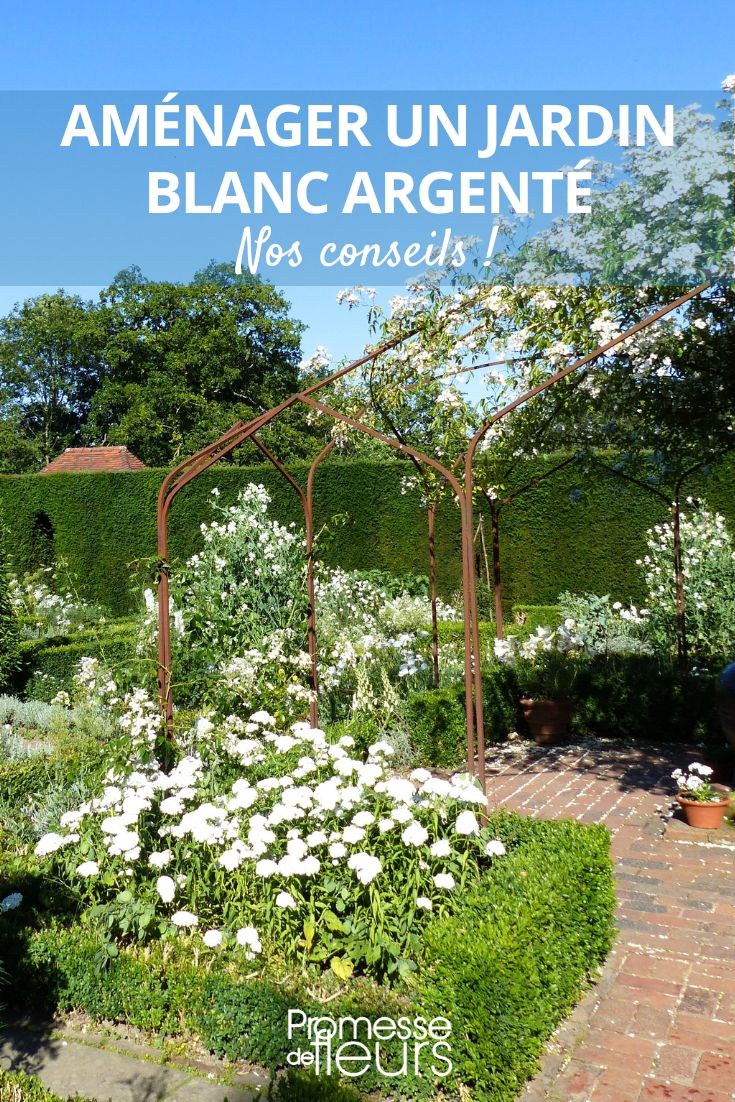 crear un jardín de flores blancas