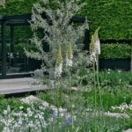 Aménager un jardín blanco argentée