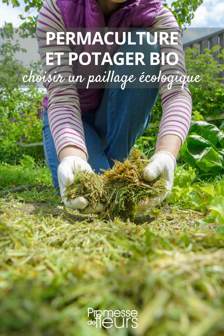 acolchado con hierba