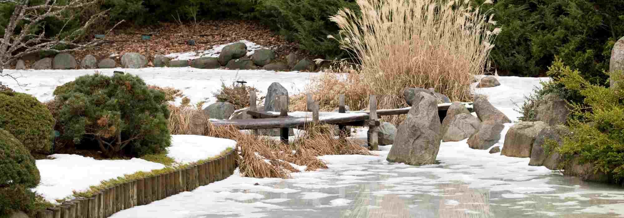 ¿Cómo identificar los puntos fríos de un jardín?