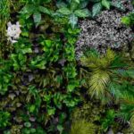 Cómo crear un muro vegetal en un balcón?