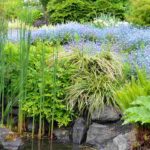 ¿Cómo elegir plantas adecuadas para mi jardín?