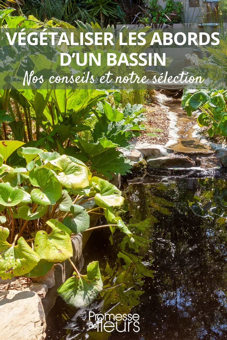 diseñar los alrededores de un estanque