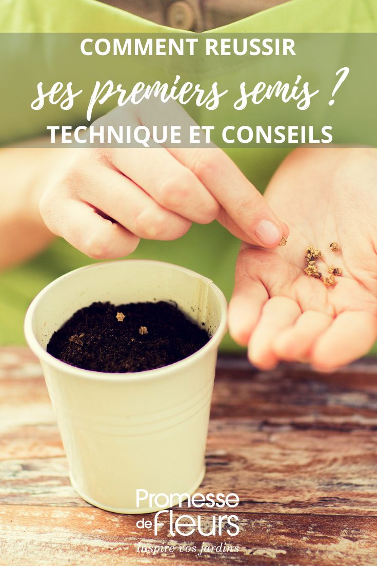 conseguir que tus semillas germinen con éxito