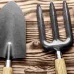 Jardinería principiante: cómo elegir bien tus herramientas?