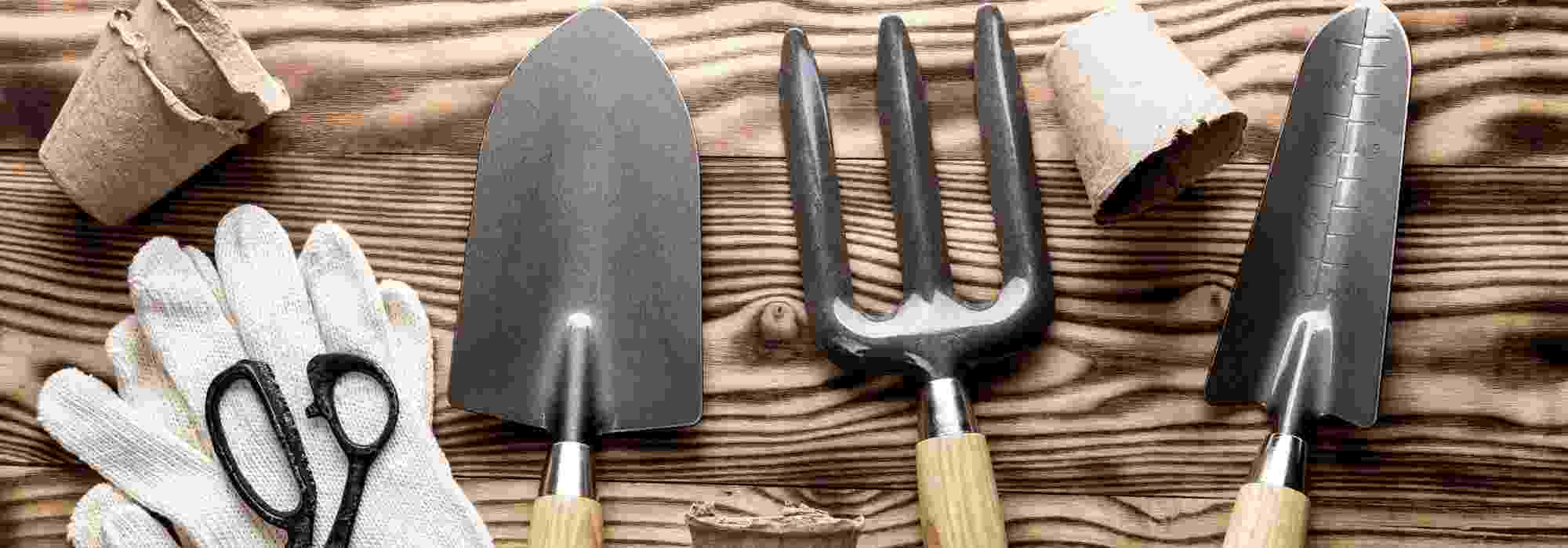 Jardinería principiante: cómo elegir bien tus herramientas?