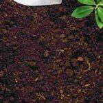 La preparación del suelo en primavera: las acciones esenciales en el jardín