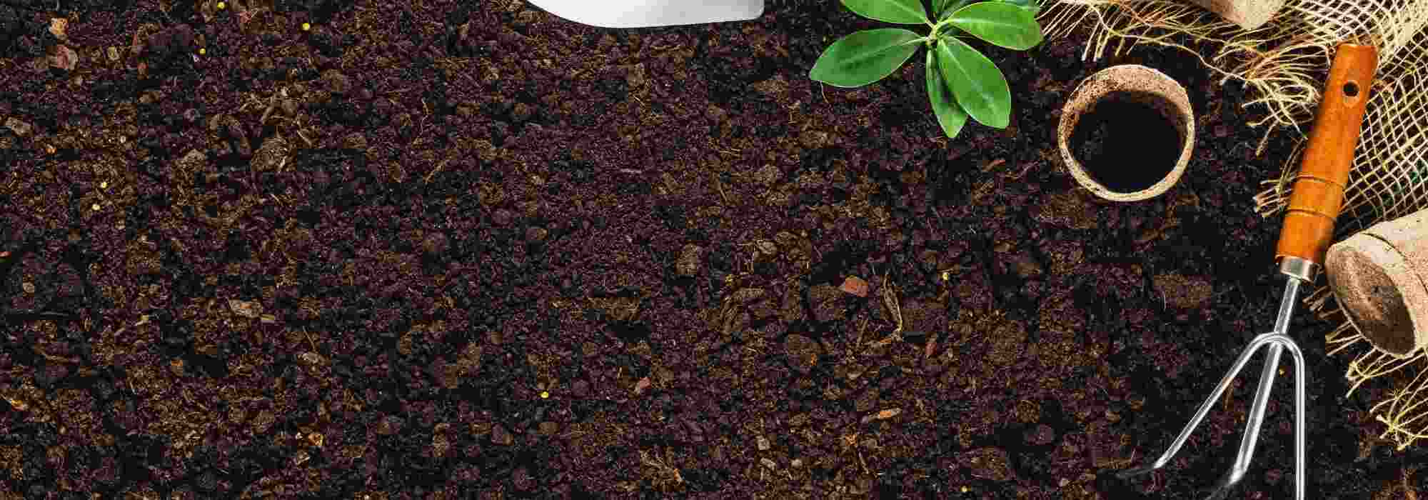La preparación del suelo en primavera: las acciones esenciales en el jardín