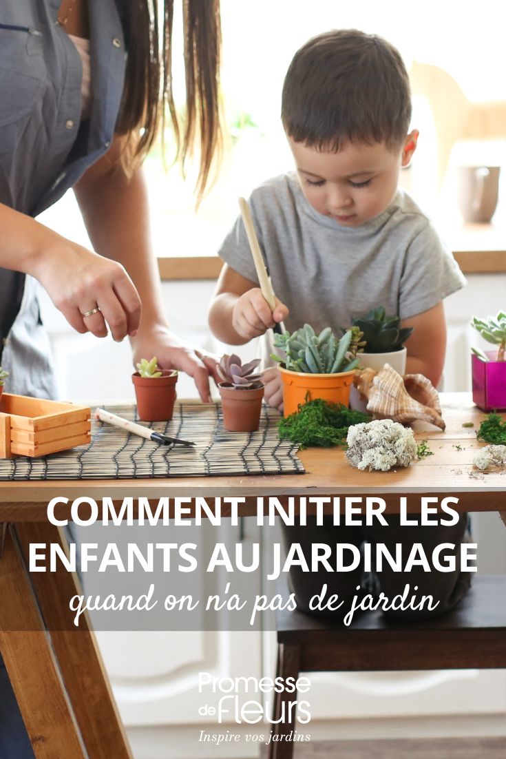 7 ideas para iniciar a los niños en la jardinería cuando no tienes jardín actividades de jardinería para niños sin jardín