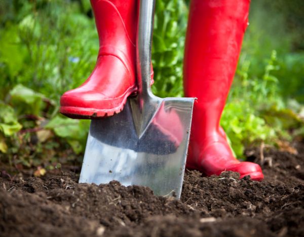 Jardinería para principiantes: ¿Qué es la labranza? ¿Cómo hacerlo?