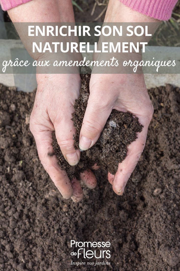 estiércol, mantillo de hojas, compost, todo para enriquecer la tierra