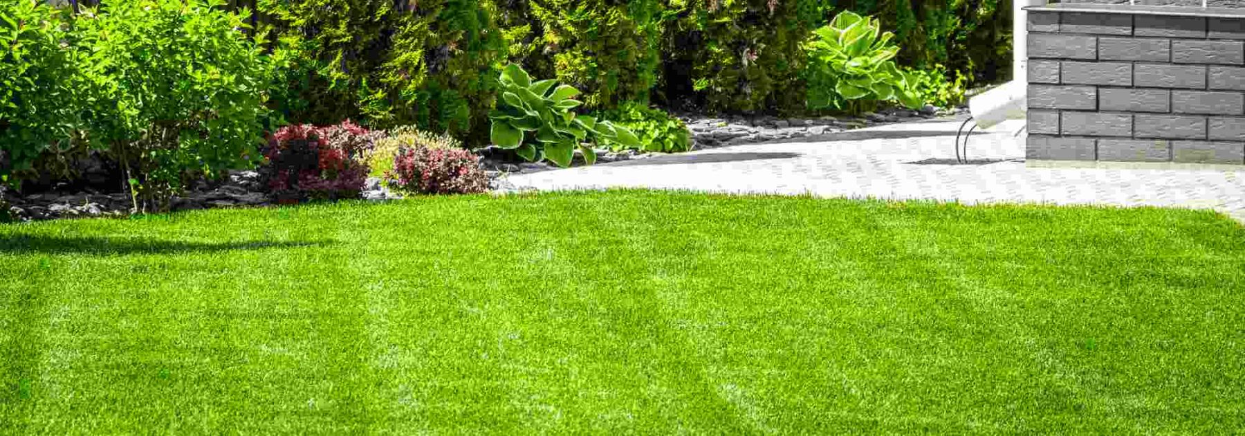 ¿Cómo cuidar el césped en primavera?
