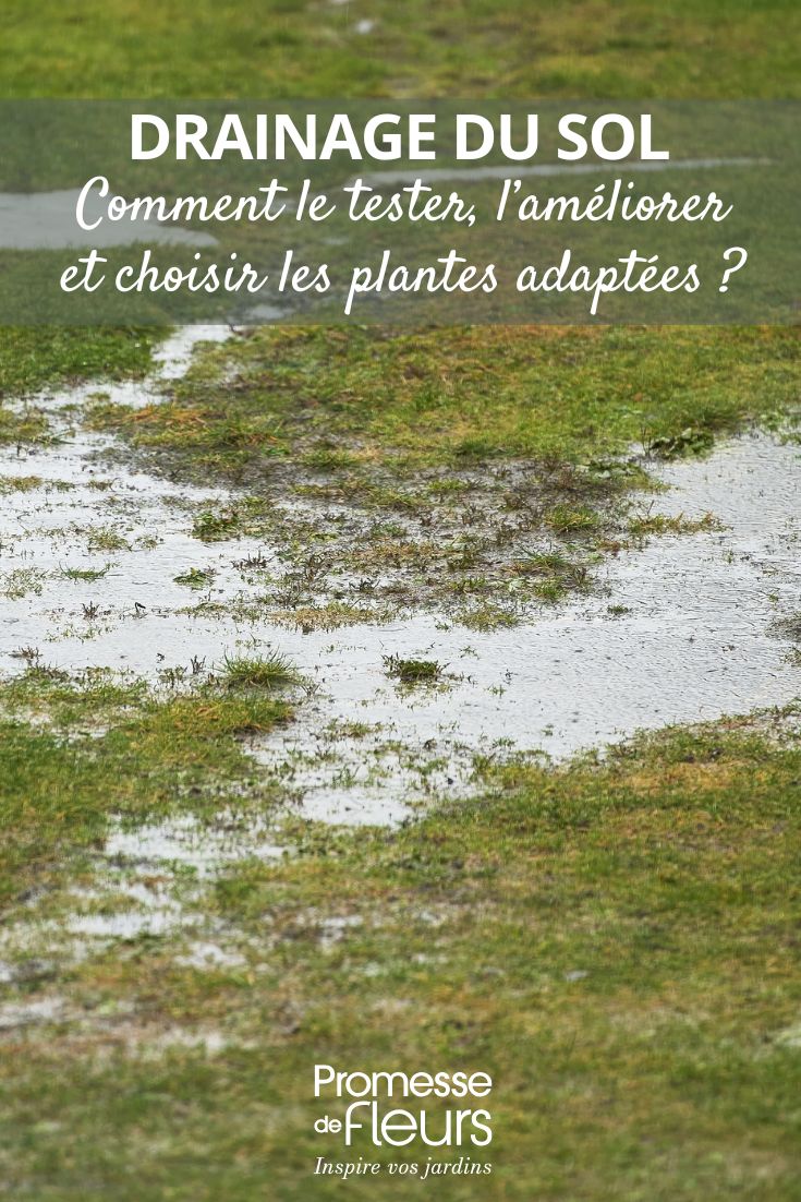 Todo sobre el drenaje del suelo en el jardín mejorar el drenaje del agua del suelo