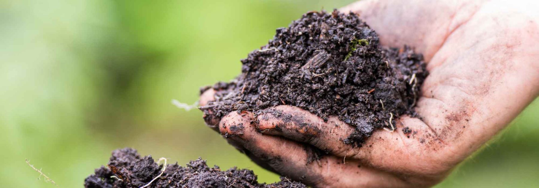 ¿Cómo enriquecer el suelo de forma natural gracias a las enmiendas orgánicas?