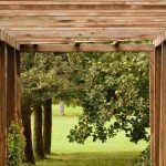 La madera en el jardín: ideas e inspiraciones