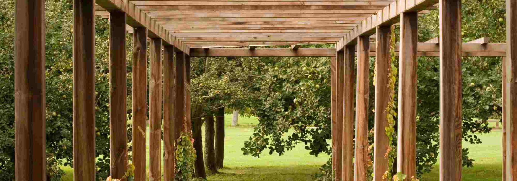 La madera en el jardín: ideas e inspiraciones