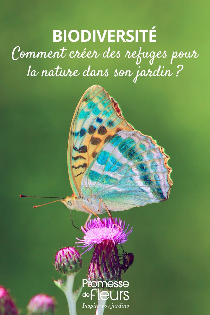 Biodiversidad: cómo crear refugios para la naturaleza en tu jardín ayudar a la fauna del jardín