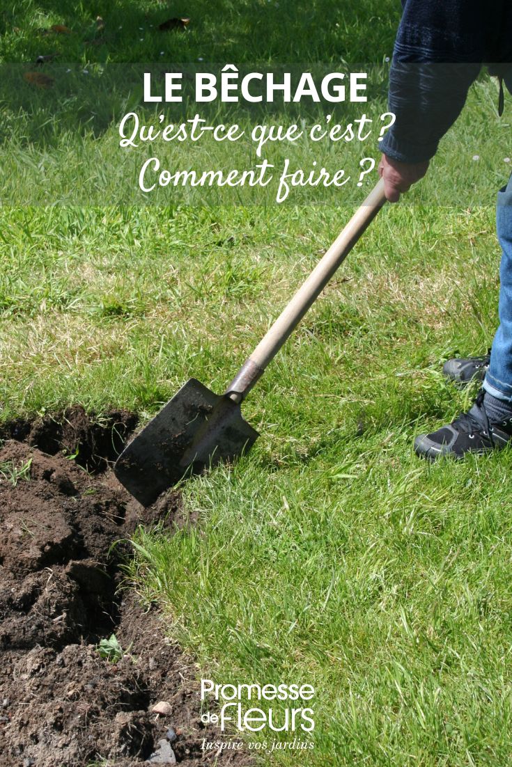 Cavar el jardín, ¿cómo hacerlo?