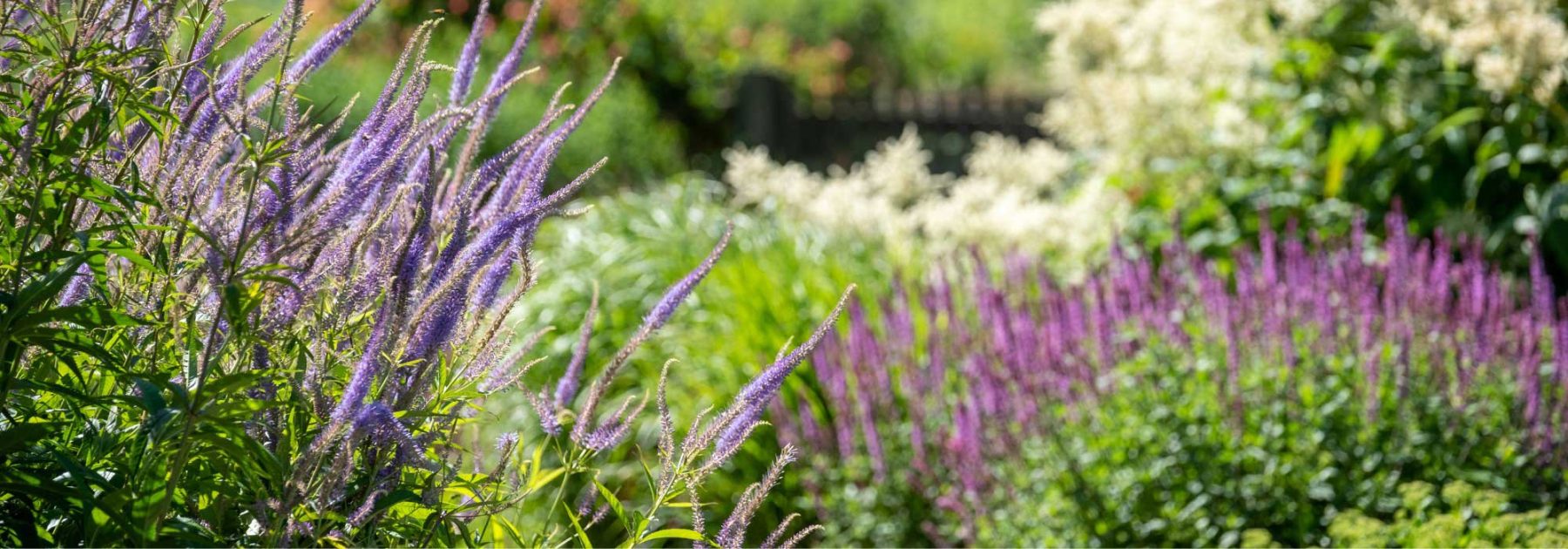 Tendencia jardín 2025: la estética naturalista inspira un estilo campestre y relajado