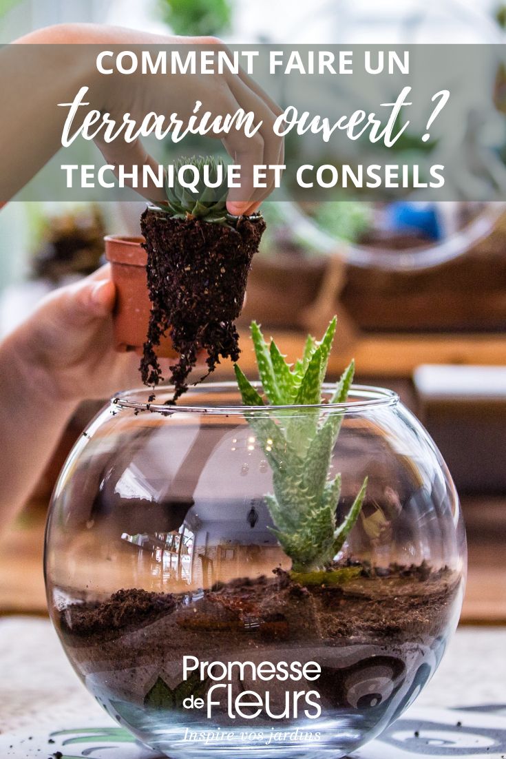 Tutorial para hacer un terrario