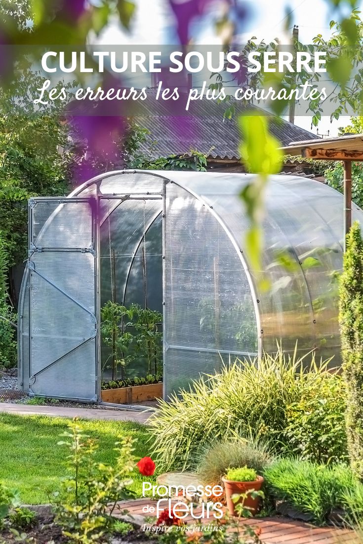 Cultivo en invernadero: los errores más comunes plantación en invernadero, las buenas prácticas y los gestos adecuados