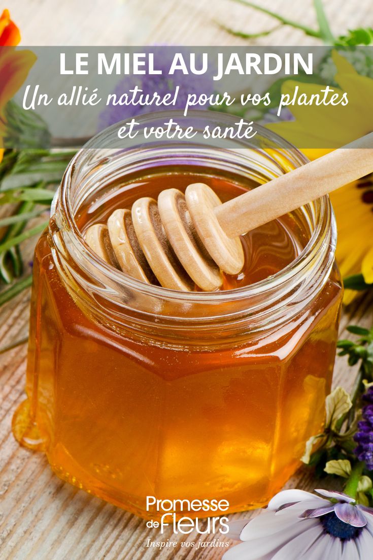 La miel en el jardín: un aliado natural para tus plantas y tu salud el uso de la miel en el jardín