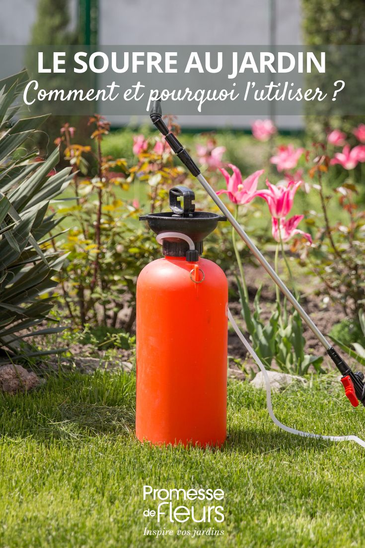 El azufre en el jardín: cómo y por qué utilizarlo uso del azufre en el jardín