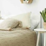 Las plantas de interior perfectas para un dormitorio: nuestra guía práctica