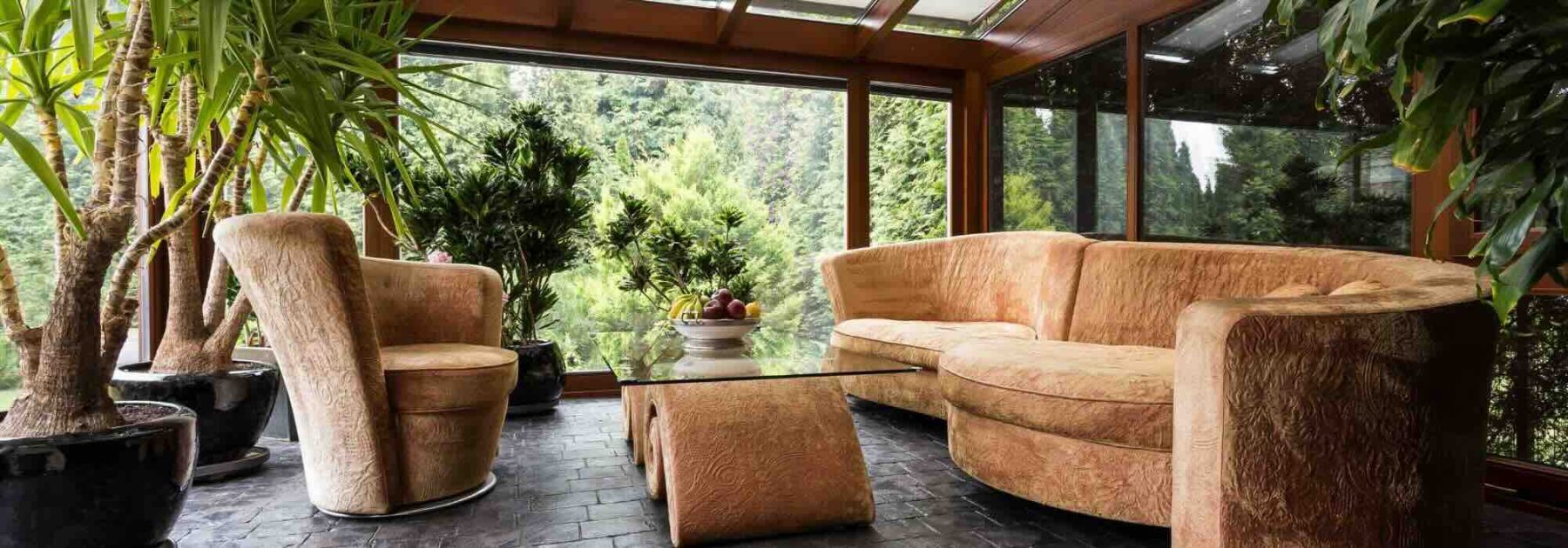 Las plantas de interior ideales para una veranda